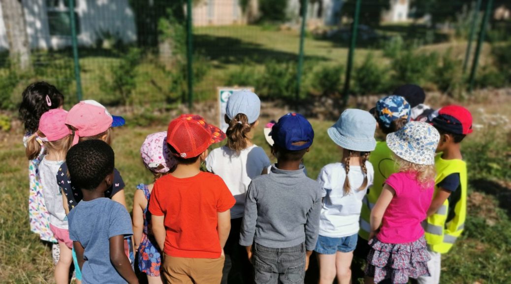 Visite Au Parc Des Dunes Ecole Maternelle Publique Louis Pasteur